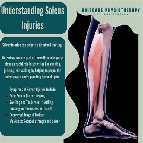 Soleus Tendinopathy