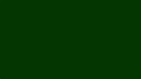 Solid Dark Green Background