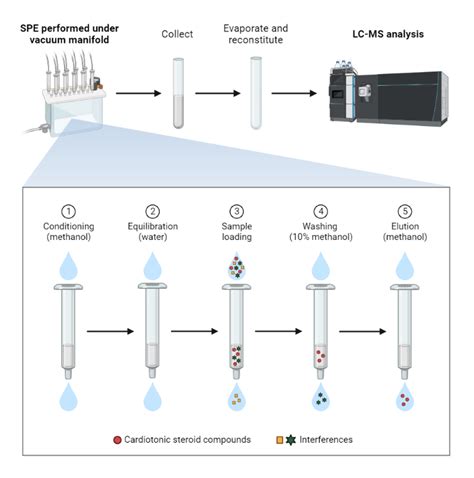 Solid Phase Extraction Steroid Hormones