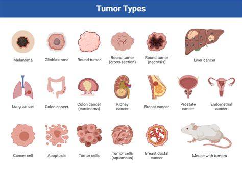 a Gross appearance of the tumor, b microscopic appearance of the tumor