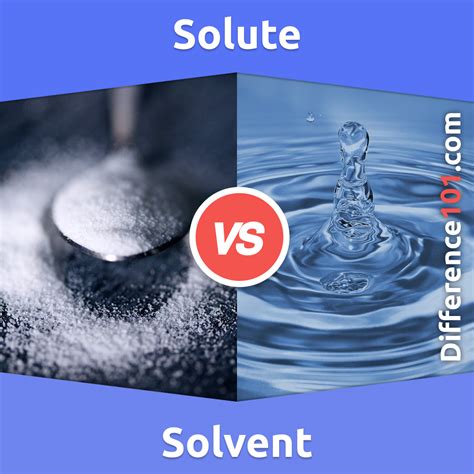 Solute Vs Solvent Printable