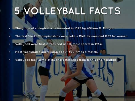 some information about volleyball
