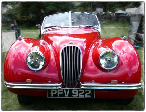 someones pride and joy