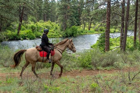 something 40 xxxtra 4