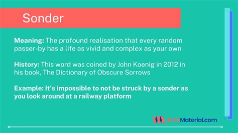 sonder in a sentence examples