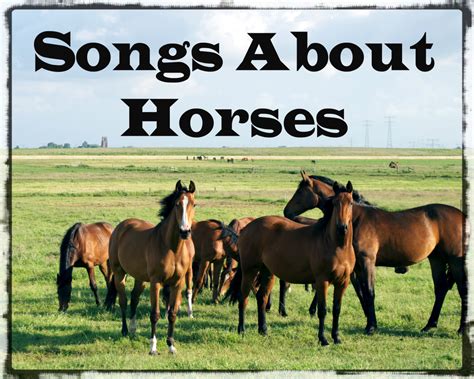 song about a horse