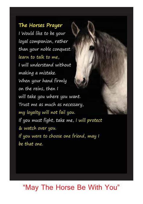 song and a prayer horse