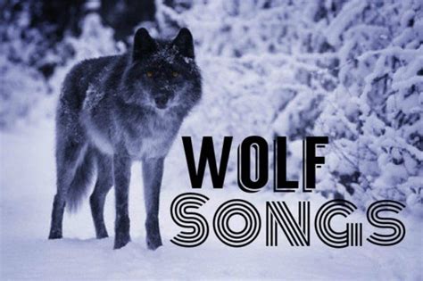 songs that are about wolves