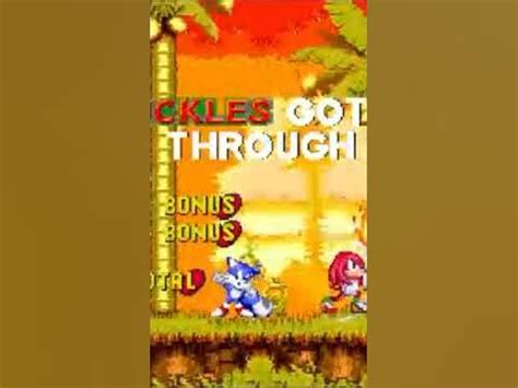sonic 3 air knuckles route big rings