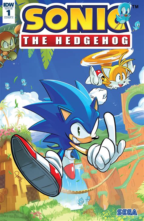sonic idw 4 review