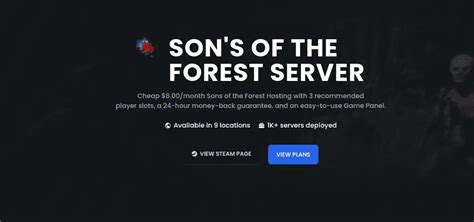 sons of the forest server