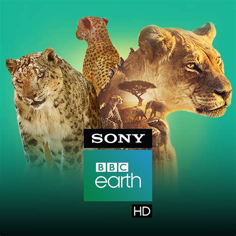 sony bbc earth live streaming free