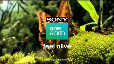 sony bbc earth quiz