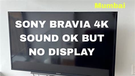 Sony Bravia Screen Problem