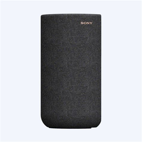 Sony Sa-Rs5 Speakers