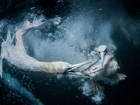 Sony World Photography Awards Deadline Approaching Fast