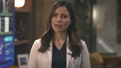 sophia bush new medical drama