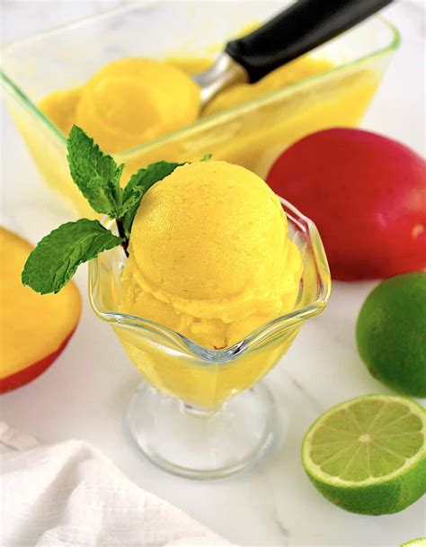 Instructions pour la réalisation du sorbet à l'orange sorbetière