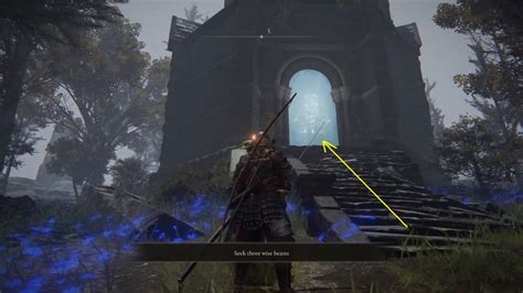 sorcerer isle turtle location