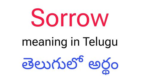 sorrow meaning in tamil with example