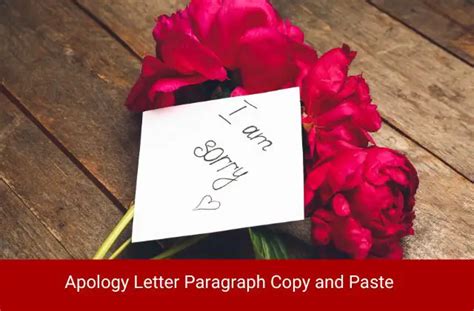 sorry text messages copy and paste