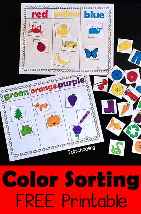 Sorting By Color Activities
