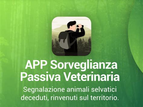 sorveglianza attiva e passiva