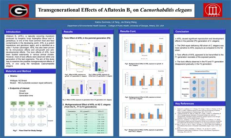 sot poster registration