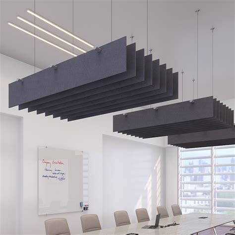 Sound Muffling Ceiling