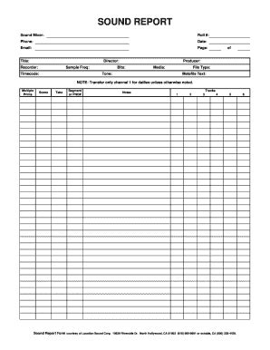 sound report template pdf