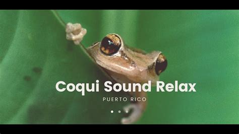 sounds of el coqui