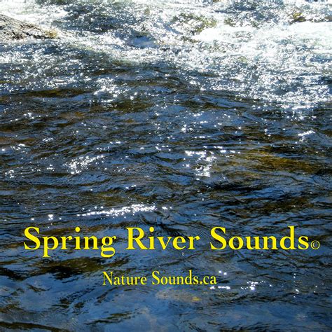 sounds on the river