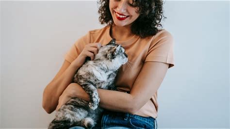 Sounds To Make Cat Cuddle