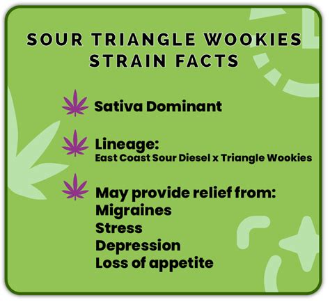 sour triangle wookies strain