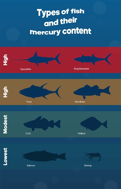 Sources of Mercury Poisoning in Fish