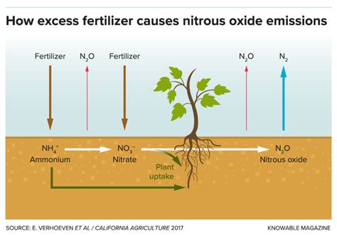 Sources Of Nitrous Oxide In Soil