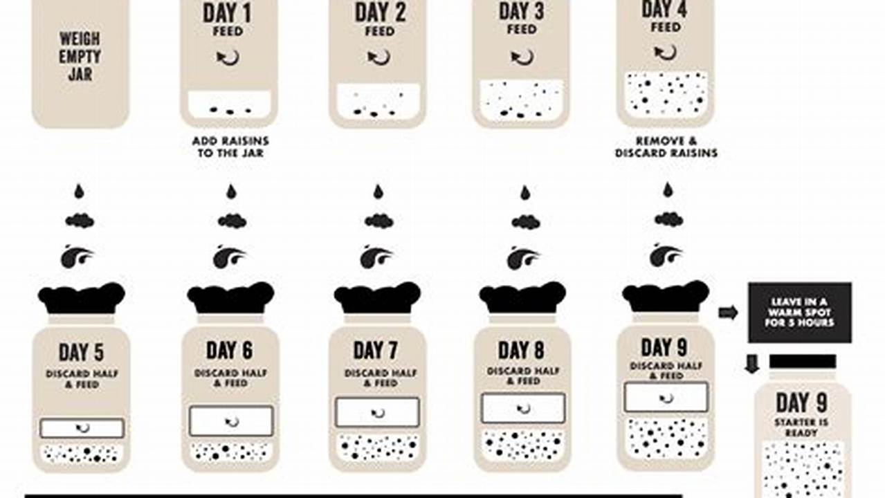The Sourdough Starter Feeding Schedule: A Comprehensive Guide for Bakers