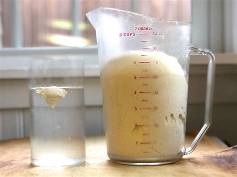 Sourdough Starter Doesn't Pass Float Test