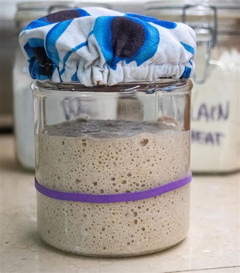 Sourdough Starter How To Make