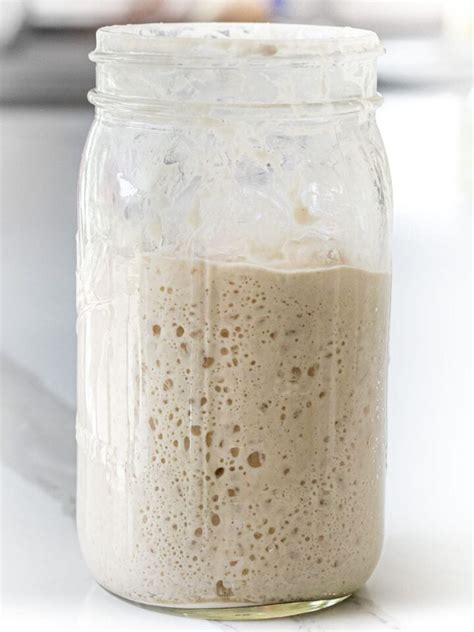 Sourdough Starter Jar Exploded
