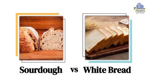 Sourdough Vs Seeded Bread