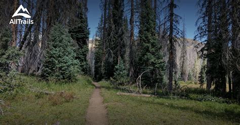 Hike the S. Fork Trail Near Clark, Colorado