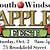 south windsor apple festival
