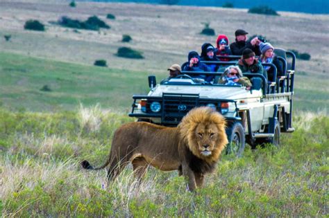south africa family safari packages