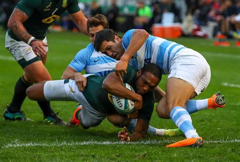 south africa vs argentina rugby