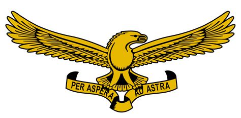 south african air force logo