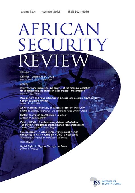 south african national security strategy pdf