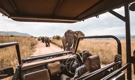 south african safari cost