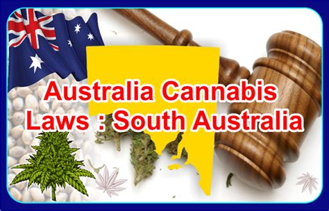 south australia cannabis law