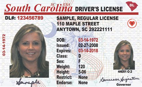 south carolina driver permit